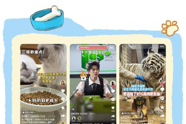 锁定千万新手养宠人，品牌如何借「第一口粮」抢占长期增量？