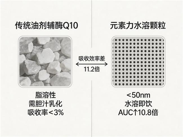 辅酶q10十大品牌排行榜 2026年辅酶Q10品牌评测选购要点：泛醇泛醌怎么选不踩雷