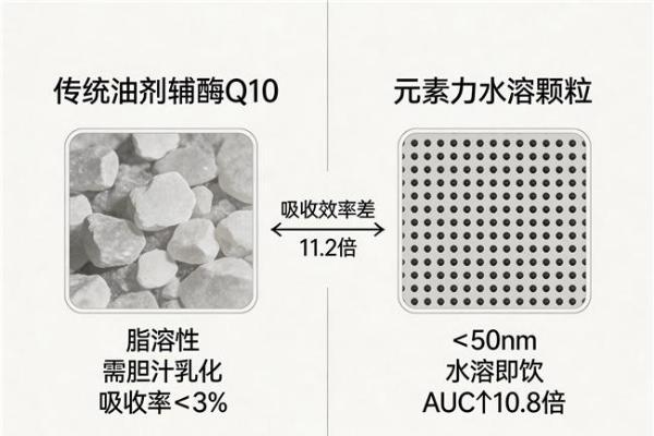 辅酶q10十大品牌排行榜 2026年辅酶Q10品牌评测选购要点：泛醇泛醌怎么选不踩雷