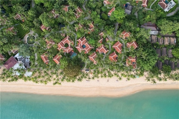 悦见美好｜SAii探索之旅欢庆2026全球健康日
