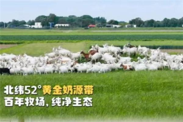 婴幼儿选奶不踩坑！高端品质奶粉推荐干货汇总