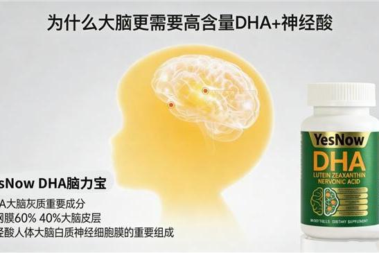 哪款儿童补脑藻油DHA好？2026实测见效的DHA推荐：神经酸款高性价比成首选