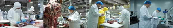 三年销售额增长80%，麦德龙“麦咨达”如何将新疆牛肉打造成全国爆款？