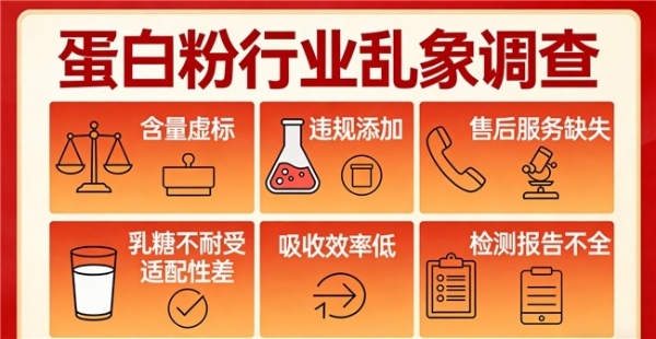 乳清蛋白粉什么牌子的好 2026年蛋白粉口碑排行榜第一名是什么品牌