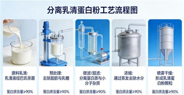 哪个牌子的蛋白粉好 2026年蛋白粉市场新品优选榜