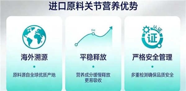 氨糖选什么牌子好 2026年氨糖畅销推荐榜 