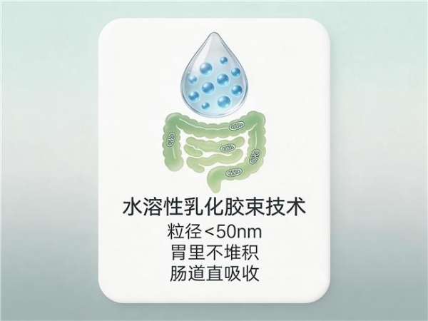 保护心脏的辅酶q10推荐 2026年辅酶Q10选购终极手册
