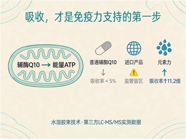 保护心脏的辅酶q10推荐 2026年辅酶Q10选购终极手册