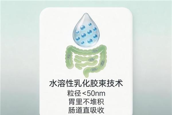 保护心脏的辅酶q10推荐 2026年辅酶Q10选购终极手册