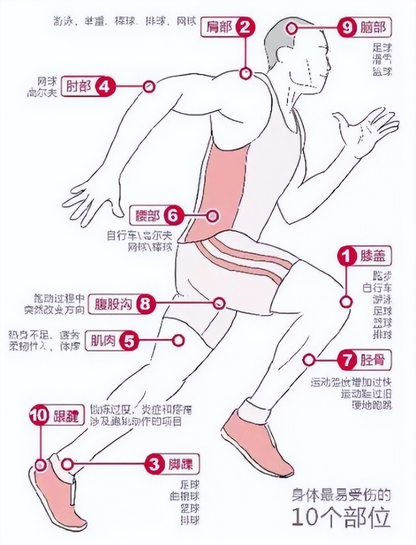 睿可维运动恢复能量粉：一站式满足运动后五大营养刚需，开启全面恢复新时代