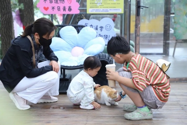 沂蒙山云蒙景区父亲节男士免票、女士半价 21℃“天然氧吧”邀您清凉一夏 