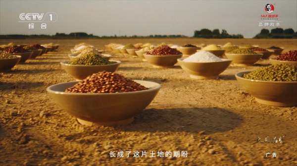 一句词，千年约 | 施可丰《稻花香里说丰年》首登央视 