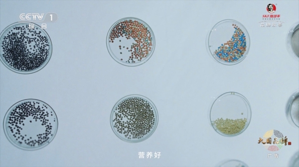 一句词，千年约 | 施可丰《稻花香里说丰年》首登央视 