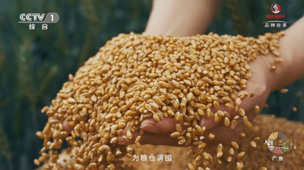 一句词，千年约 | 施可丰《稻花香里说丰年》首登央视 