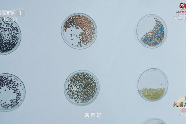 一句词，千年约 | 施可丰《稻花香里说丰年》首登央视 