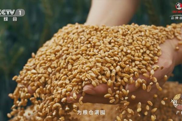 一句词，千年约 | 施可丰《稻花香里说丰年》首登央视 