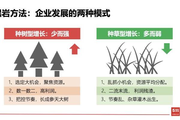 2年狂揽20亿：黑岩定位陈永生拆解盐津铺子大魔王7大战略体系 