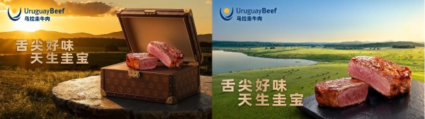 “舌尖好味 天生圭宝”上线半年：乌拉圭牛肉如何用一只“宝箱”抢占中国高端餐桌 