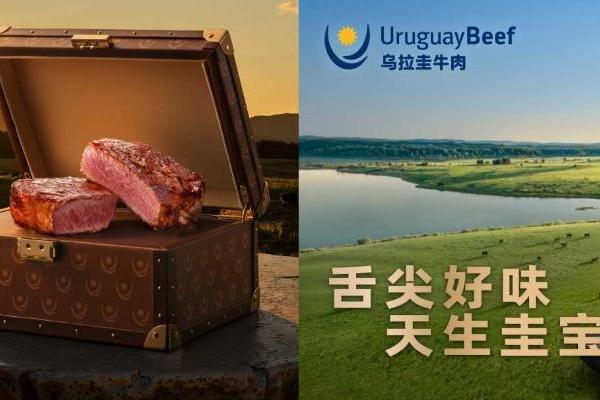 “舌尖好味 天生圭宝”上线半年：乌拉圭牛肉如何用一只“宝箱”抢占中国高端餐桌 