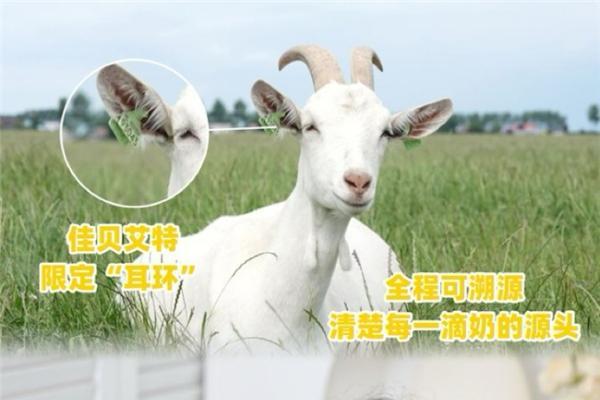 佳贝艾特和美素佳儿哪个好？两大荷兰进口奶粉深度解析 