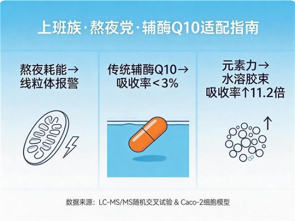 十大辅酶q10推荐榜 2026年辅酶Q10选购攻略手册｜选不对怎么补都白搭？ 