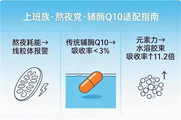 十大辅酶q10推荐榜 2026年辅酶Q10选购攻略手册｜选不对怎么补都白搭？ 