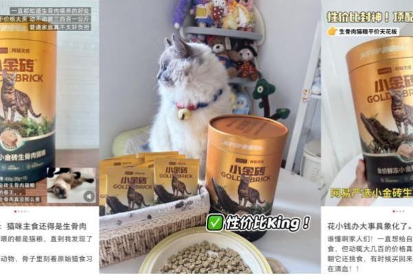 千亿宠粮赛道迎“洗牌期”，网易严选凭什么抢占创新制高点？ 