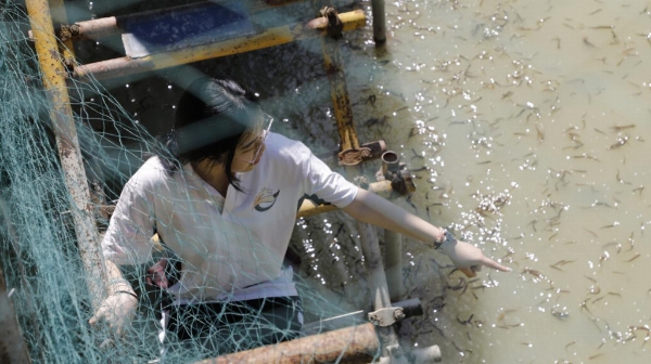 稻鳅共生育活水 青春实干助振兴 ——浙江越秀外国语学院实践团暑期赋能乡村振兴纪实 