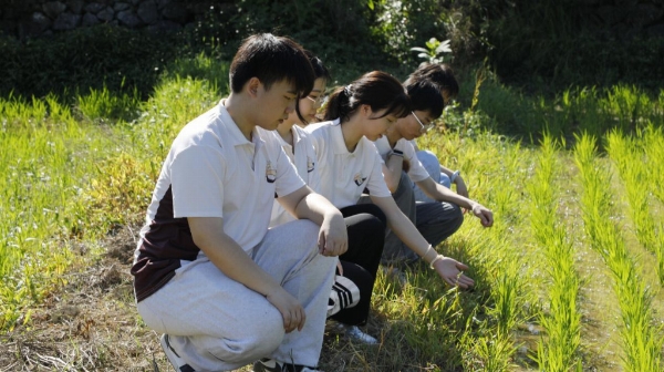 稻鳅共生育活水 青春实干助振兴 ——浙江越秀外国语学院实践团暑期赋能乡村振兴纪实 