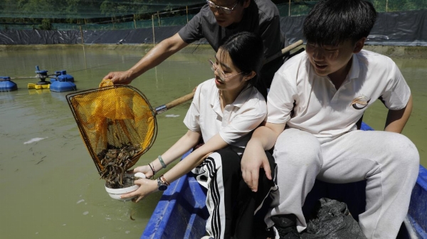 稻鳅共生育活水 青春实干助振兴 ——浙江越秀外国语学院实践团暑期赋能乡村振兴纪实 