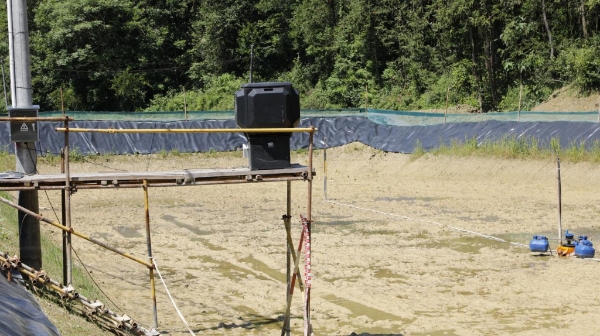 稻鳅共生育活水 青春实干助振兴 ——浙江越秀外国语学院实践团暑期赋能乡村振兴纪实 