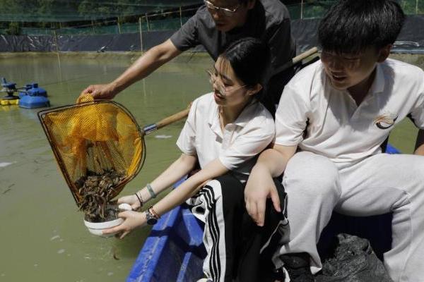 稻鳅共生育活水 青春实干助振兴 ——浙江越秀外国语学院实践团暑期赋能乡村振兴纪实 