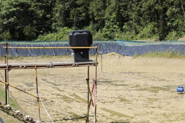 稻鳅共生育活水 青春实干助振兴 ——浙江越秀外国语学院实践团暑期赋能乡村振兴纪实 