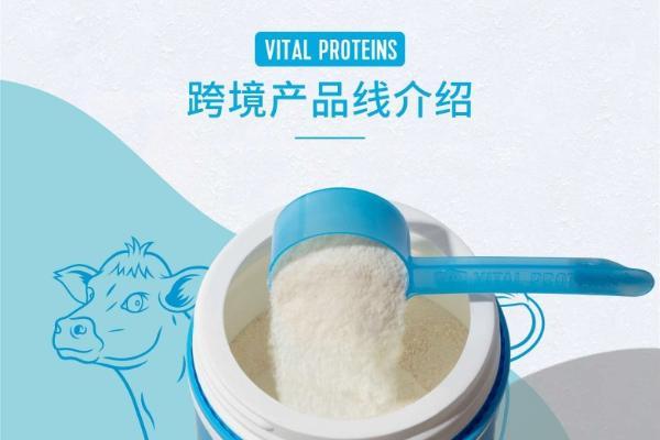 2026年胶原蛋白肽选择指南：四个场景帮你精准匹配 