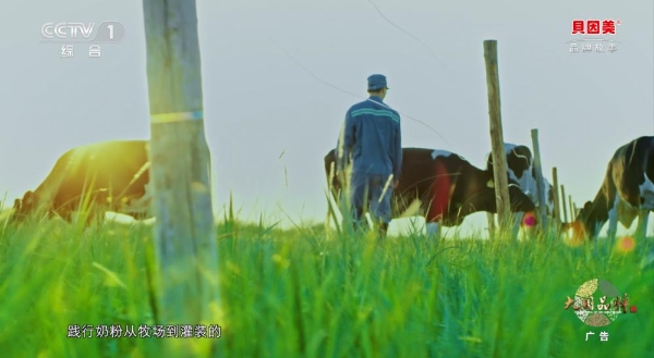 贝因美登陆CCTV-1！这个六一，一起守护纯粹童年 