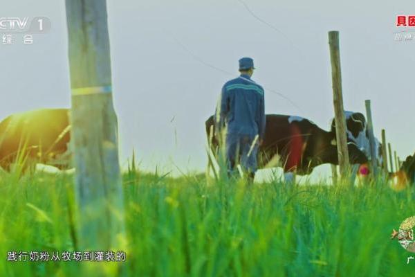 贝因美登陆CCTV-1！这个六一，一起守护纯粹童年 