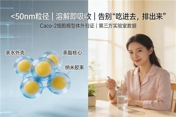 辅酶q10品牌最新排行榜 2026年辅酶Q10品牌排行榜权威评测：含量认证吸收 