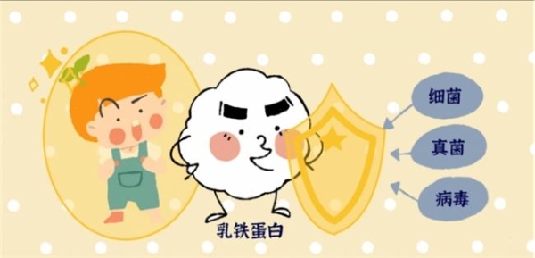 2026活性乳铁蛋白奶粉怎么挑？关键看这几点 