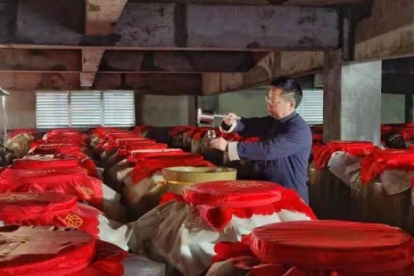 关键时刻有马牌：德国马牌限时体验空间登陆上海，共庆入华20周年 