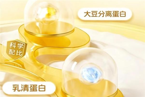 蛋白粉选购避坑全攻略，2026十大靠谱款哪个品牌最值得信赖？真实体验分享！ 