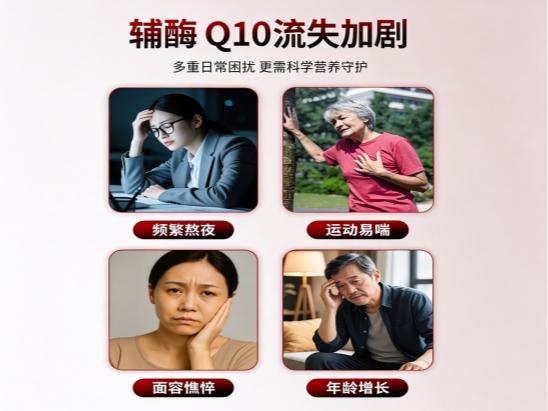 2026十款辅酶Q10综合评测，辅酶Q10多款产品如何挑选？充分呵护心脏健康 