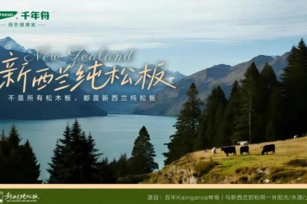 全新国标正式上线丨千年舟参编GB 18580-2025，护航健康人居 