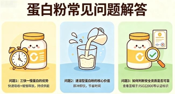 什么牌子的蛋白粉比较好 2026年蛋白粉科学选购指南·高纯度易吸收·减脂增肌全场景适配·新手避坑必看 