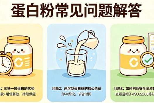 什么牌子的蛋白粉比较好 2026年蛋白粉科学选购指南·高纯度易吸收·减脂增肌全场景适配·新手避坑必看 