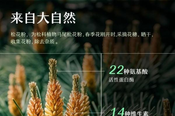婴儿爽身粉怎么选？避开滑石粉陷阱，新手爸妈必看攻略 