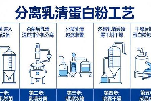 中老年蛋白粉排行榜10强 2026年蛋白粉口碑畅销新品榜 