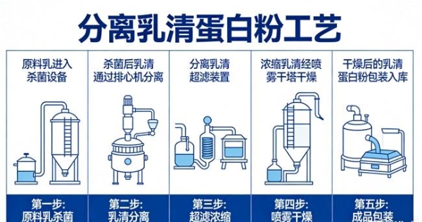乳清蛋白粉什么品牌好 2026年蛋白粉新品热销品牌榜 