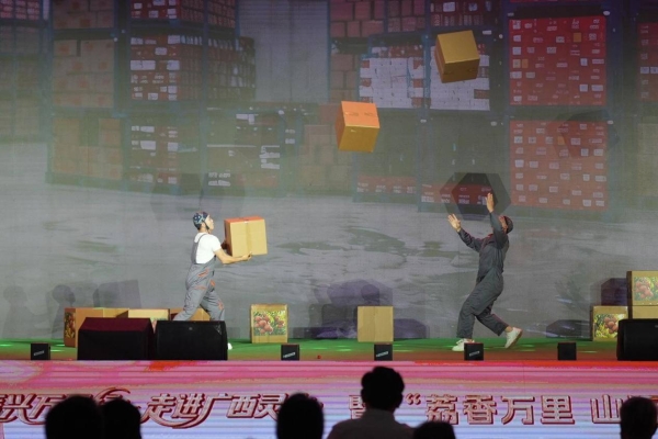 乡村振兴万里行走进广西灵山，荔枝之夜点亮千年荔乡！