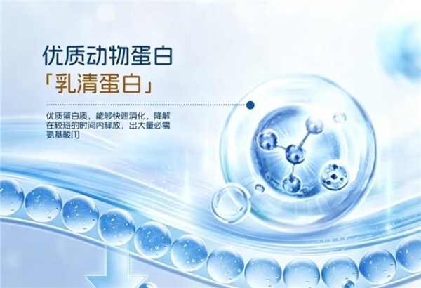 十大低乳糖蛋白粉权威榜单，2026哪个品牌的蛋白粉乳糖含量低适合乳糖不耐受者？ 