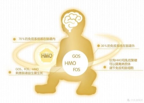 HMO奶粉选哪款？“5大热门品牌横评”金领冠珍护铂萃值不值得买 